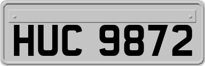 HUC9872