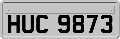 HUC9873