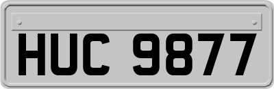 HUC9877