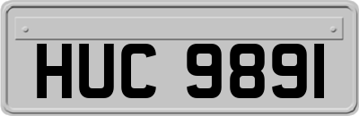 HUC9891