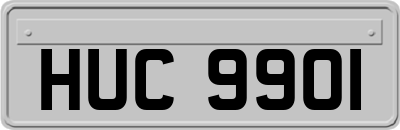 HUC9901