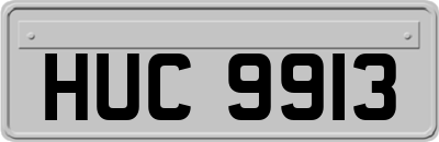 HUC9913