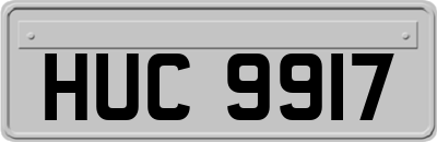 HUC9917