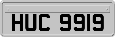 HUC9919