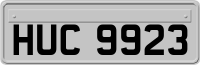 HUC9923