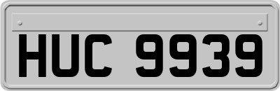 HUC9939