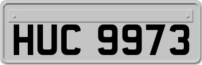 HUC9973