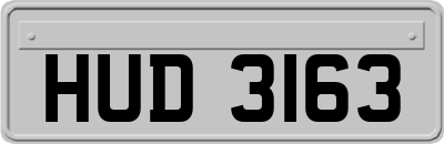 HUD3163