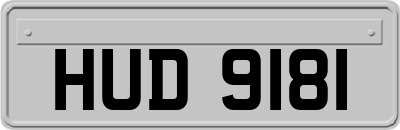 HUD9181