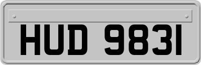 HUD9831