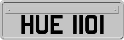 HUE1101