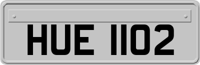 HUE1102