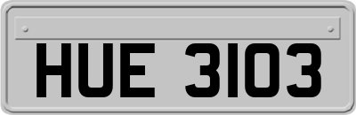 HUE3103