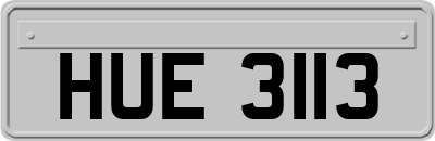 HUE3113