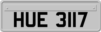 HUE3117