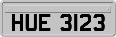 HUE3123