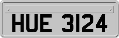 HUE3124