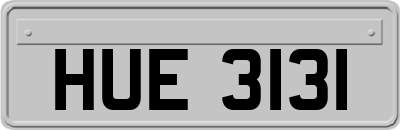 HUE3131