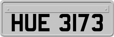 HUE3173