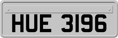 HUE3196