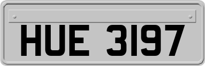 HUE3197