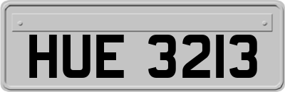 HUE3213