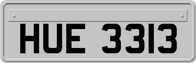 HUE3313