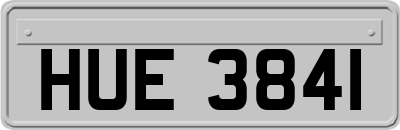 HUE3841