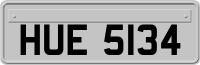 HUE5134