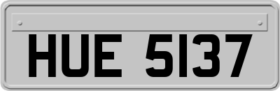 HUE5137