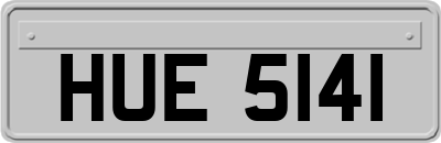 HUE5141