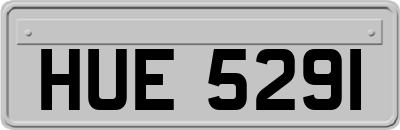 HUE5291