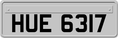 HUE6317