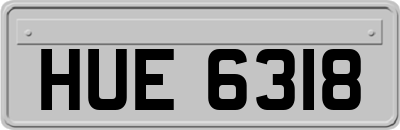 HUE6318