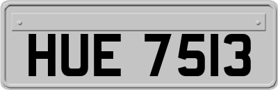 HUE7513