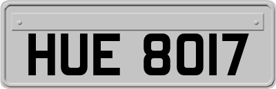 HUE8017