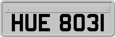 HUE8031