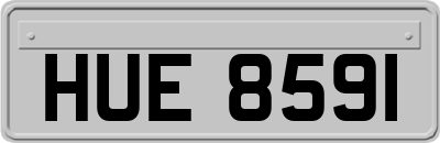 HUE8591