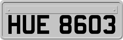 HUE8603