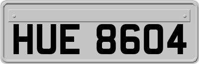 HUE8604