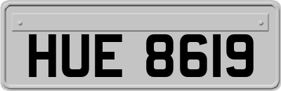 HUE8619