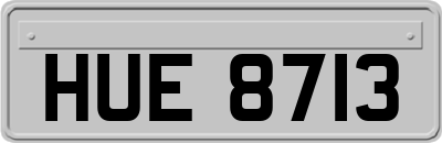 HUE8713