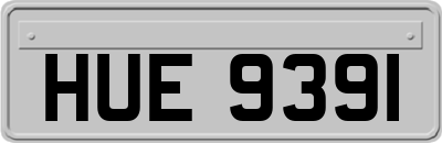 HUE9391