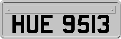 HUE9513