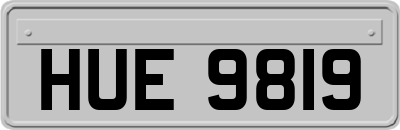 HUE9819