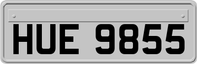 HUE9855