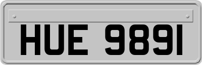 HUE9891