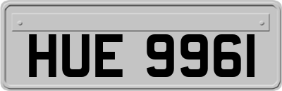 HUE9961