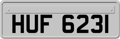 HUF6231