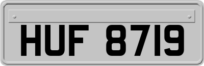 HUF8719